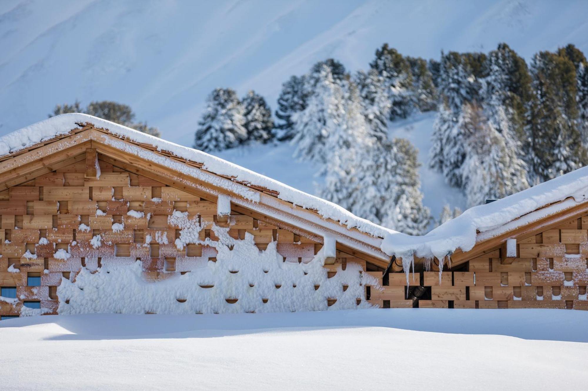 Zallinger Dolomites Alpe Di Siusi Exterior photo