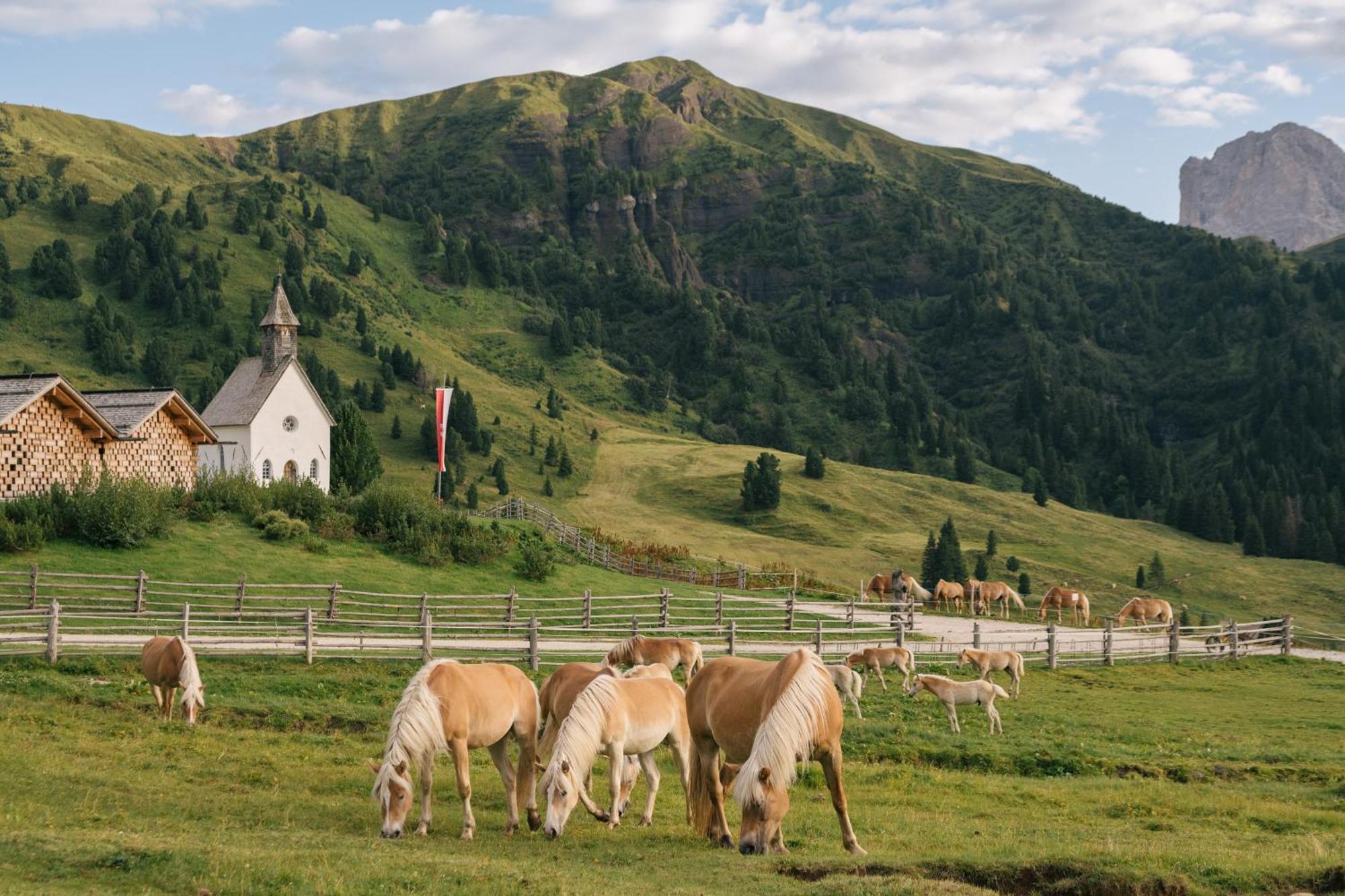 Zallinger Dolomites Alpe Di Siusi Exterior photo